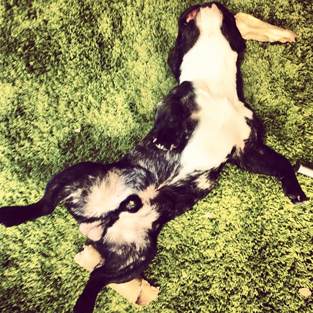 Afternoon nap