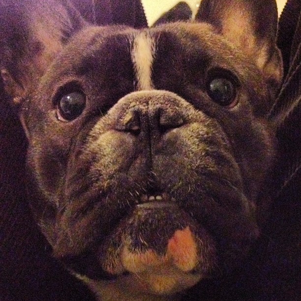 Give me the ball!