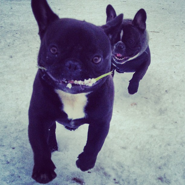I got the stick, catch me if you can!
