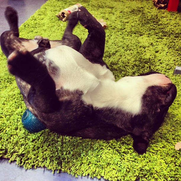fell asleep on his ball