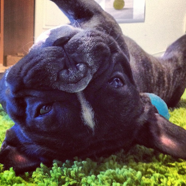 training Pilates