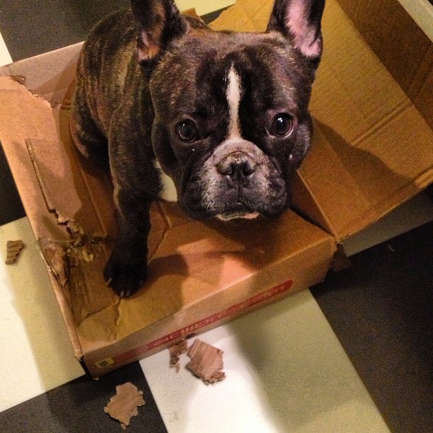 with box