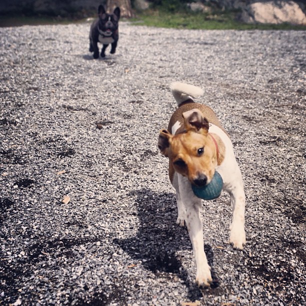 and Ellie playing