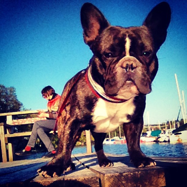 by the water