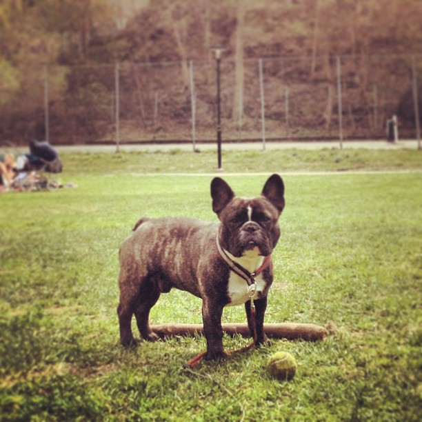 hangig in the park