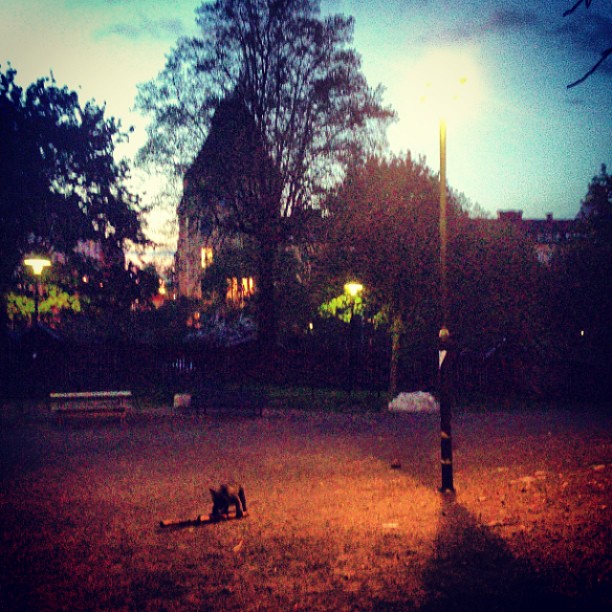 in the park