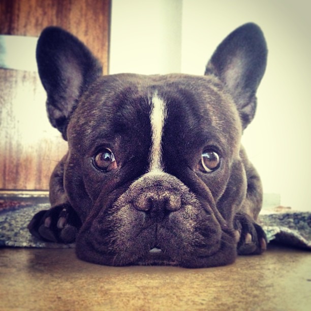 Waiting for a walk to the park