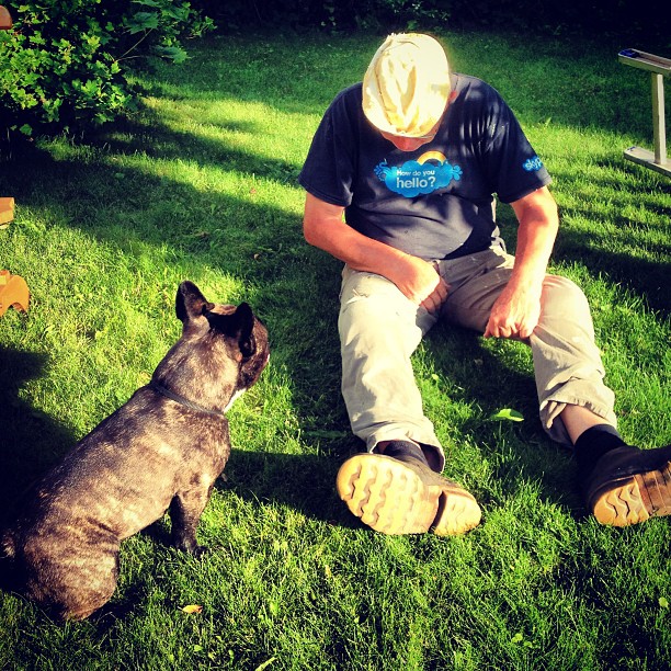 Dad playing with in the sunset.
