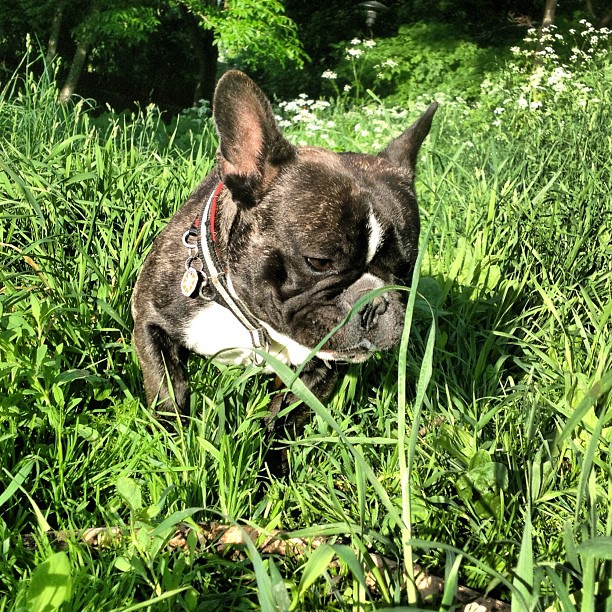 Evening in the park.