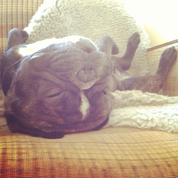 Good morning . Tired?