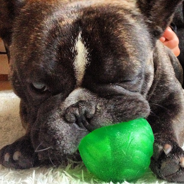 Got my ball back!
