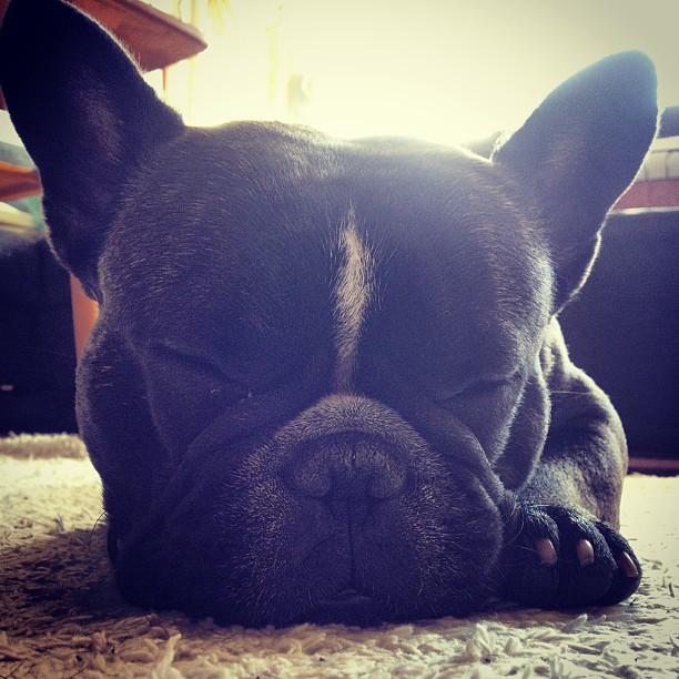 "I better take a nap before I go to bed" -