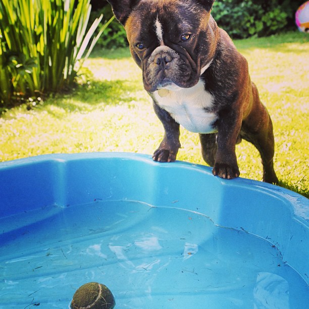 Time for a bath.