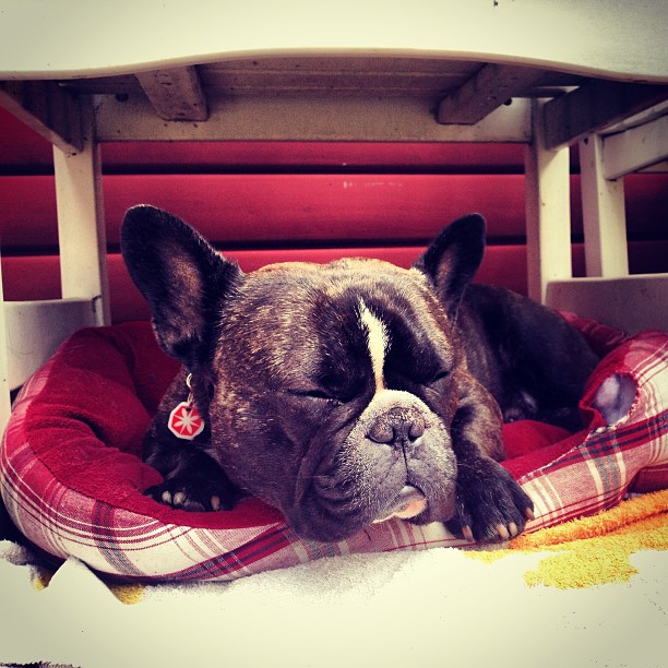 Tired