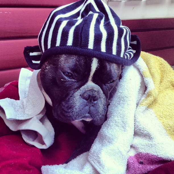 Today I had a bit of a hangover.