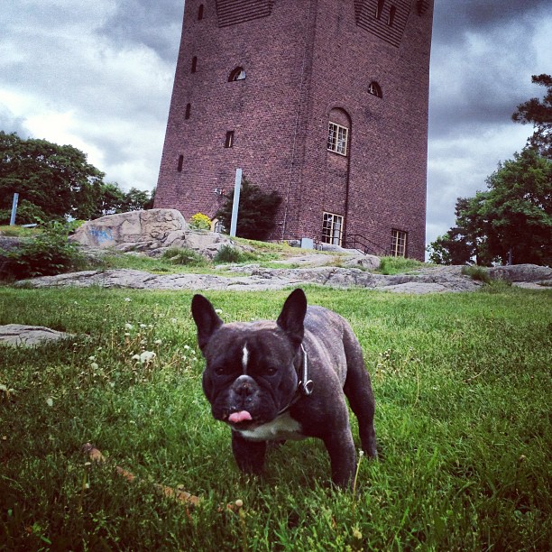 and the tower.