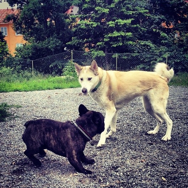 found a new friend