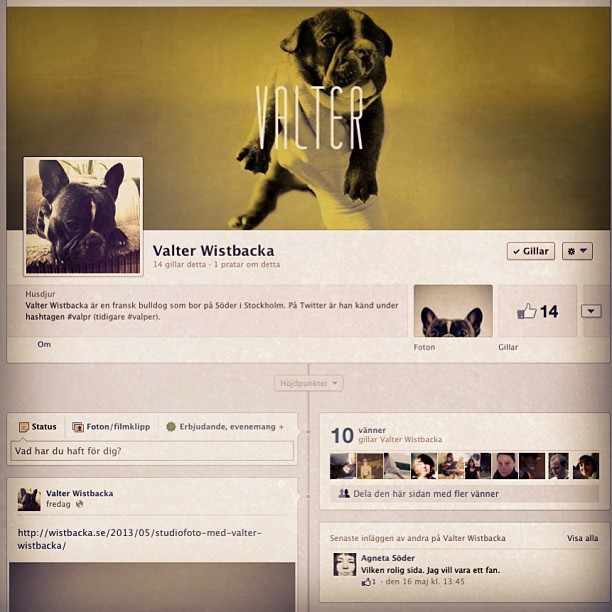 got his own Facebook page.