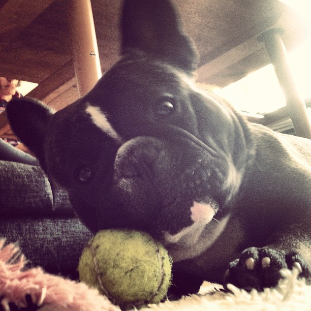 playing ball.