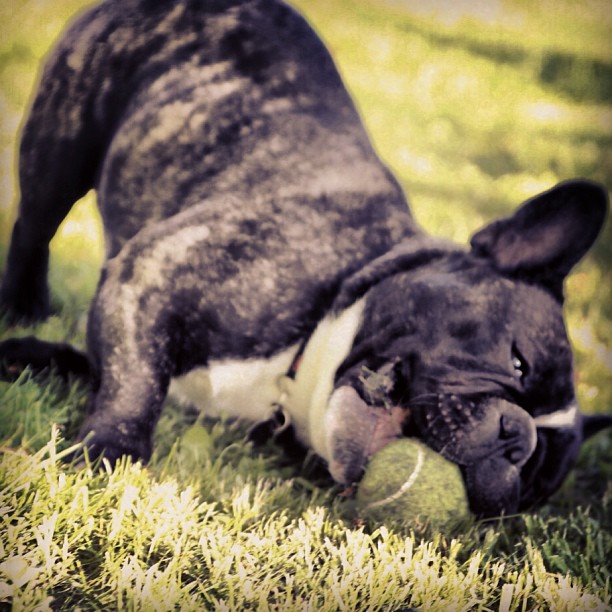 playing ball.