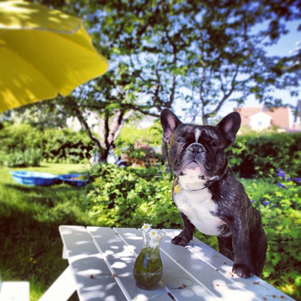 relaxing in the garden.