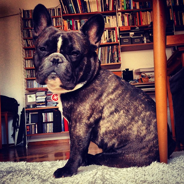 Waiting for the walk.