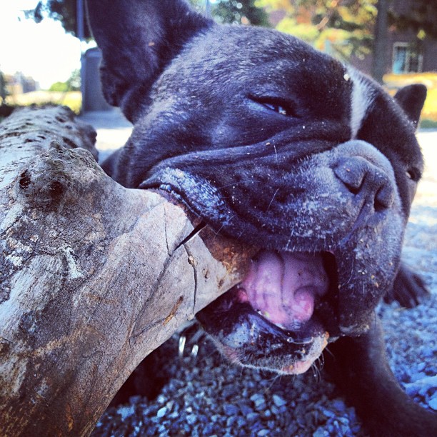 "Happy to have this log",