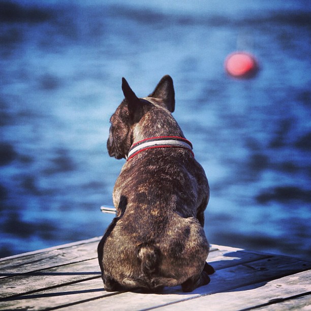 by the lake.