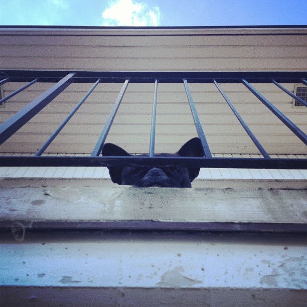 from below.