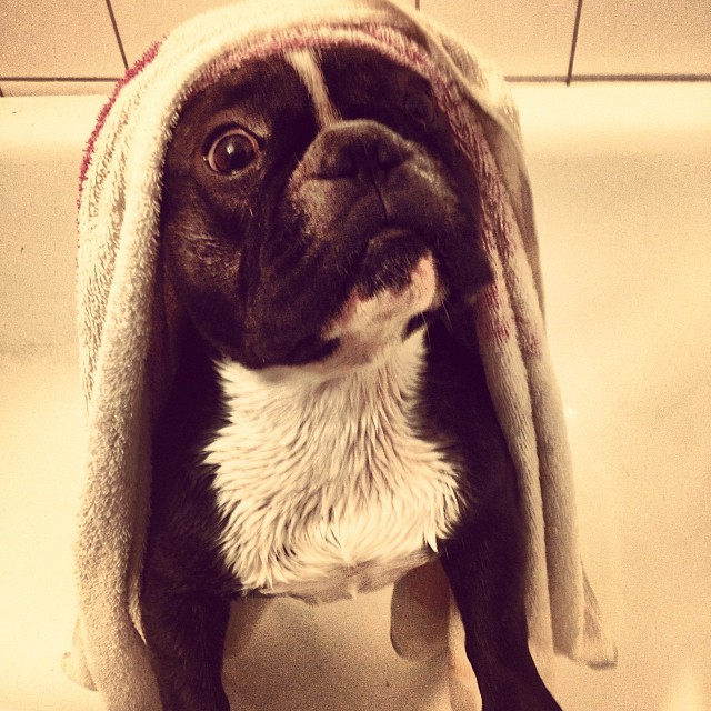 after bath.