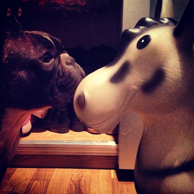 got a new friend.