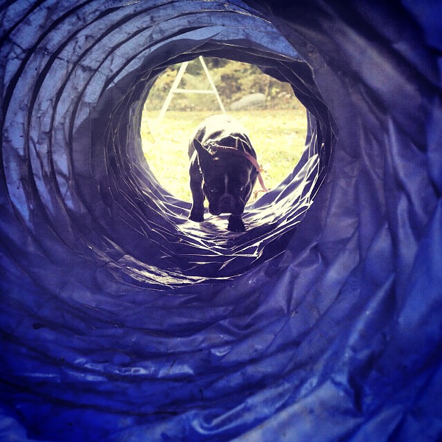 in the tunnel.