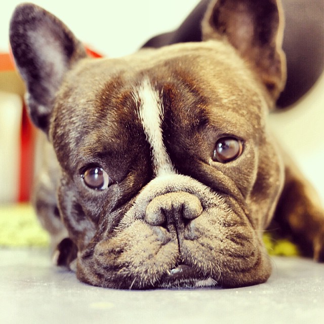 waiting for the walk.