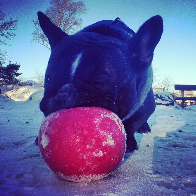 ... et ballon.
