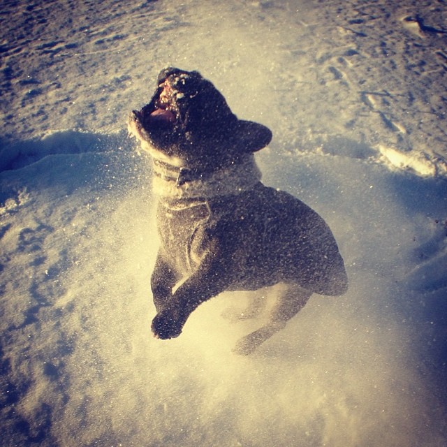 The snow monster is back!