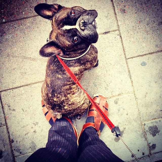 thinks my new Kavat are really comfy.