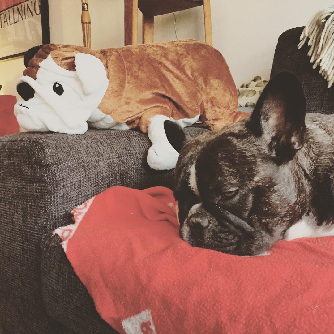 Resting.