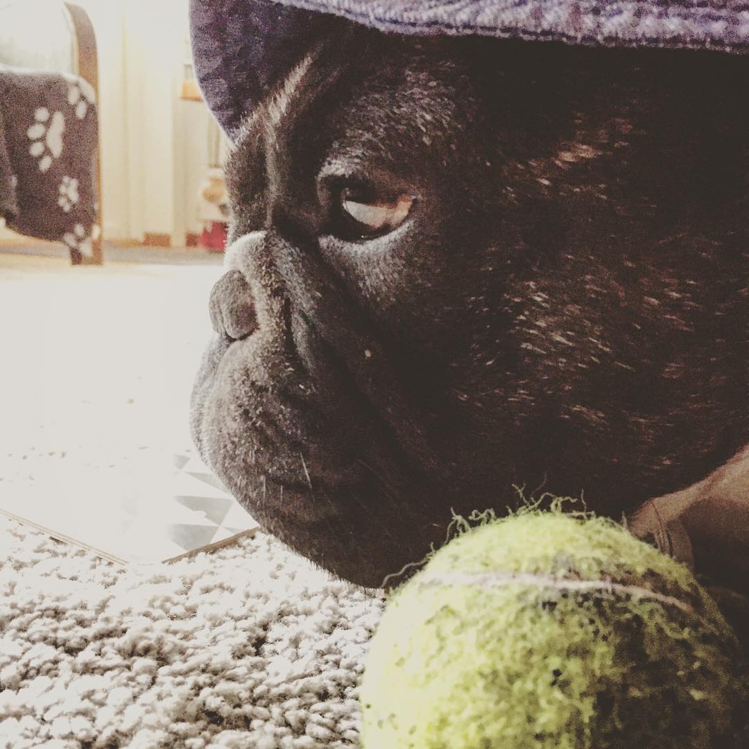 having a ball.