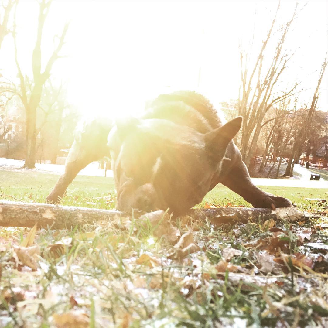 December sun.