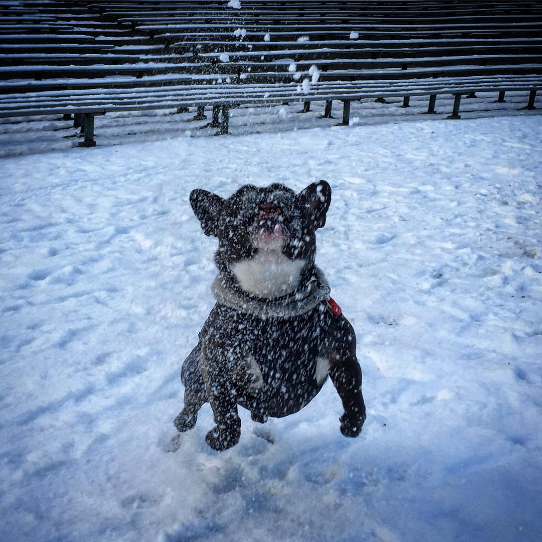 Finally winter.