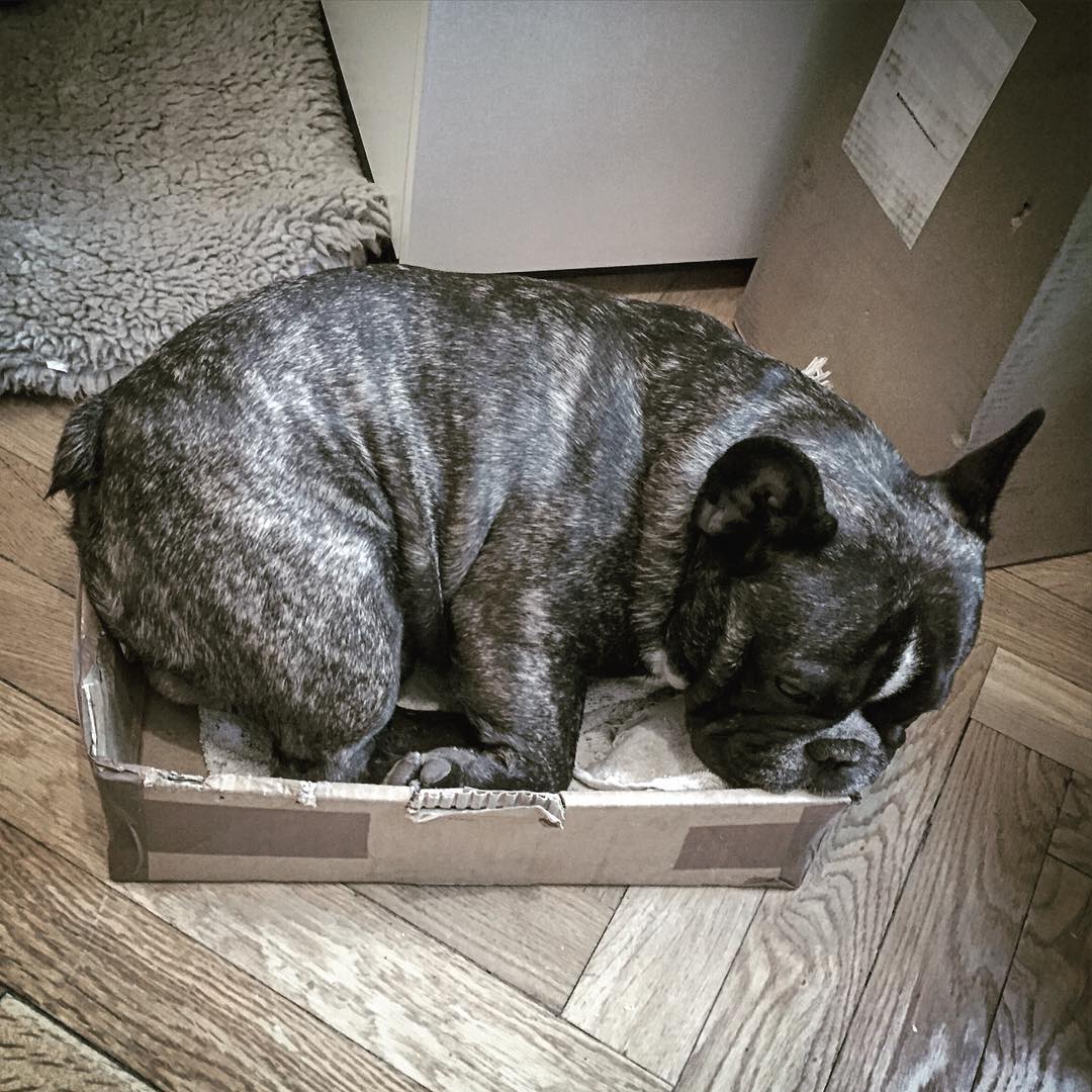 Back in the box.