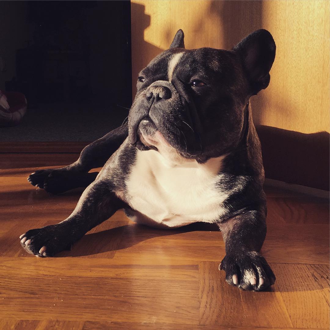 Sunshine!