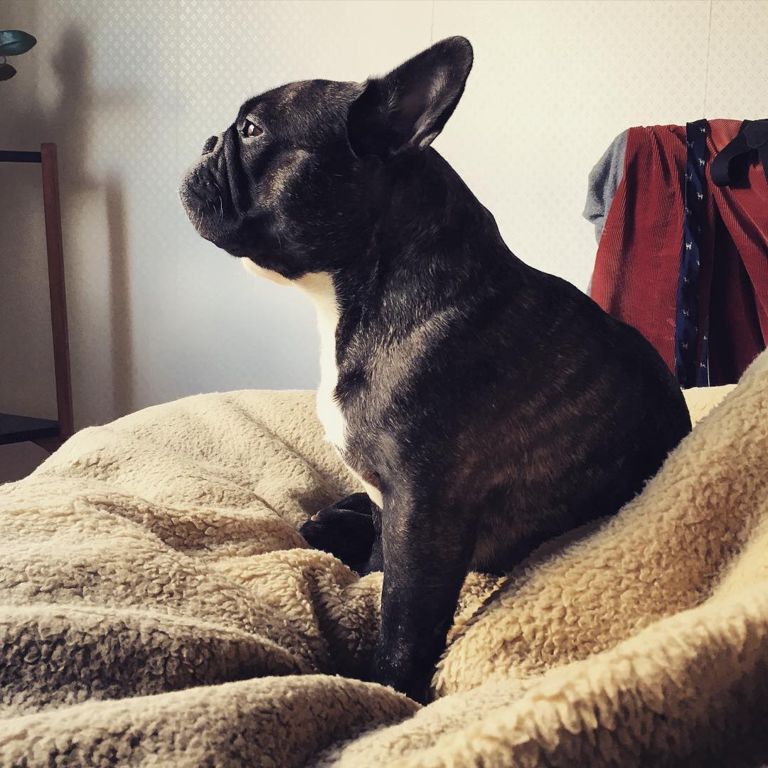 in bed.