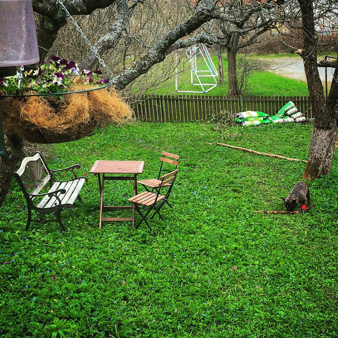 and the garden.