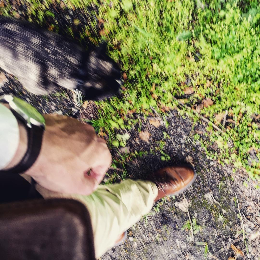 Traveling Finland.