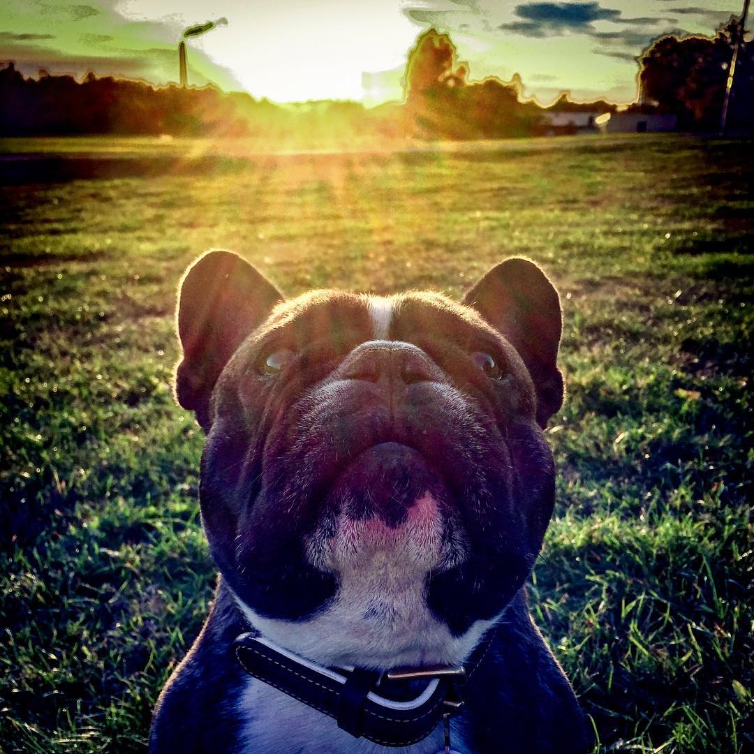 My boy.