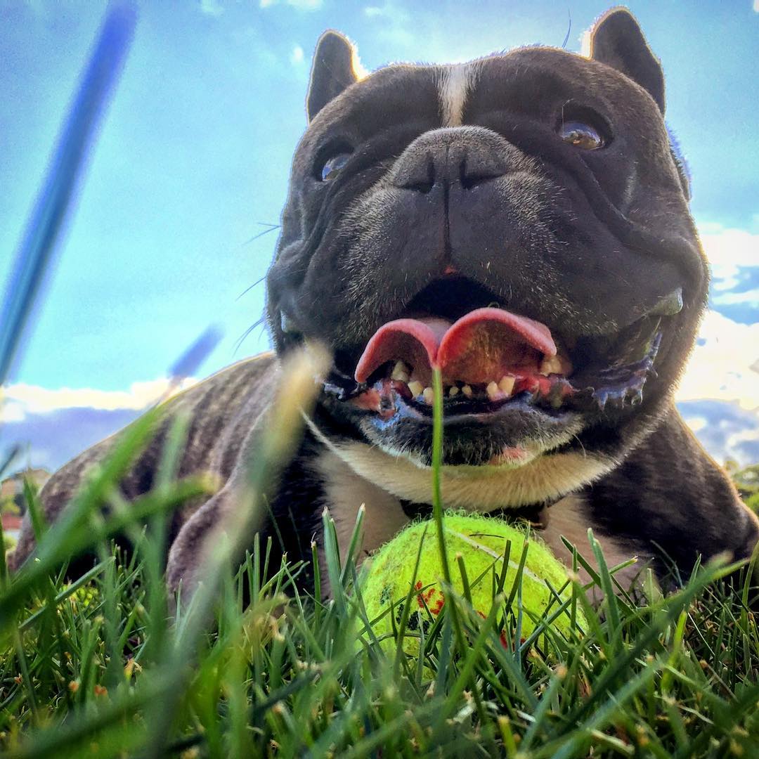 My Boy.
