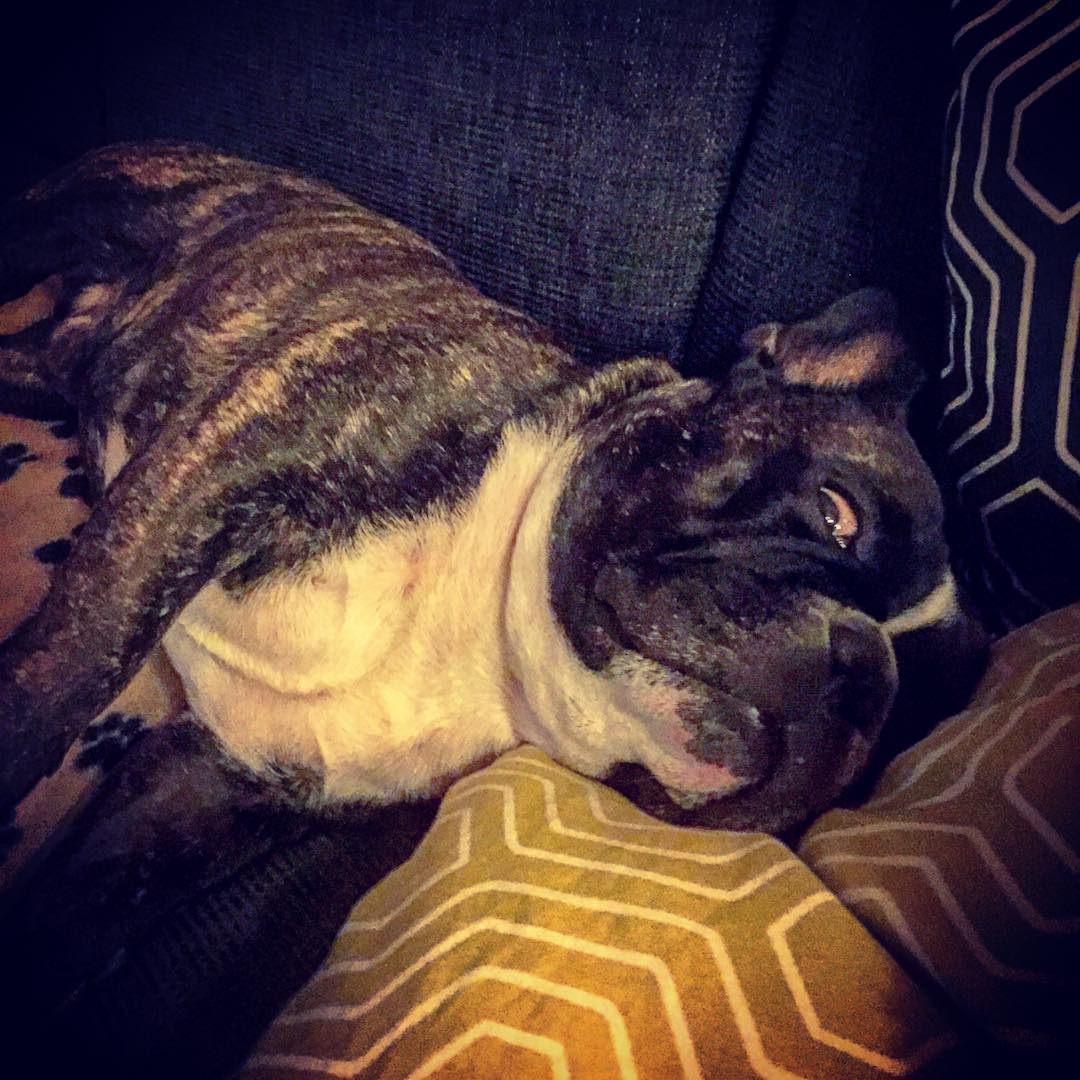On the sofa.
