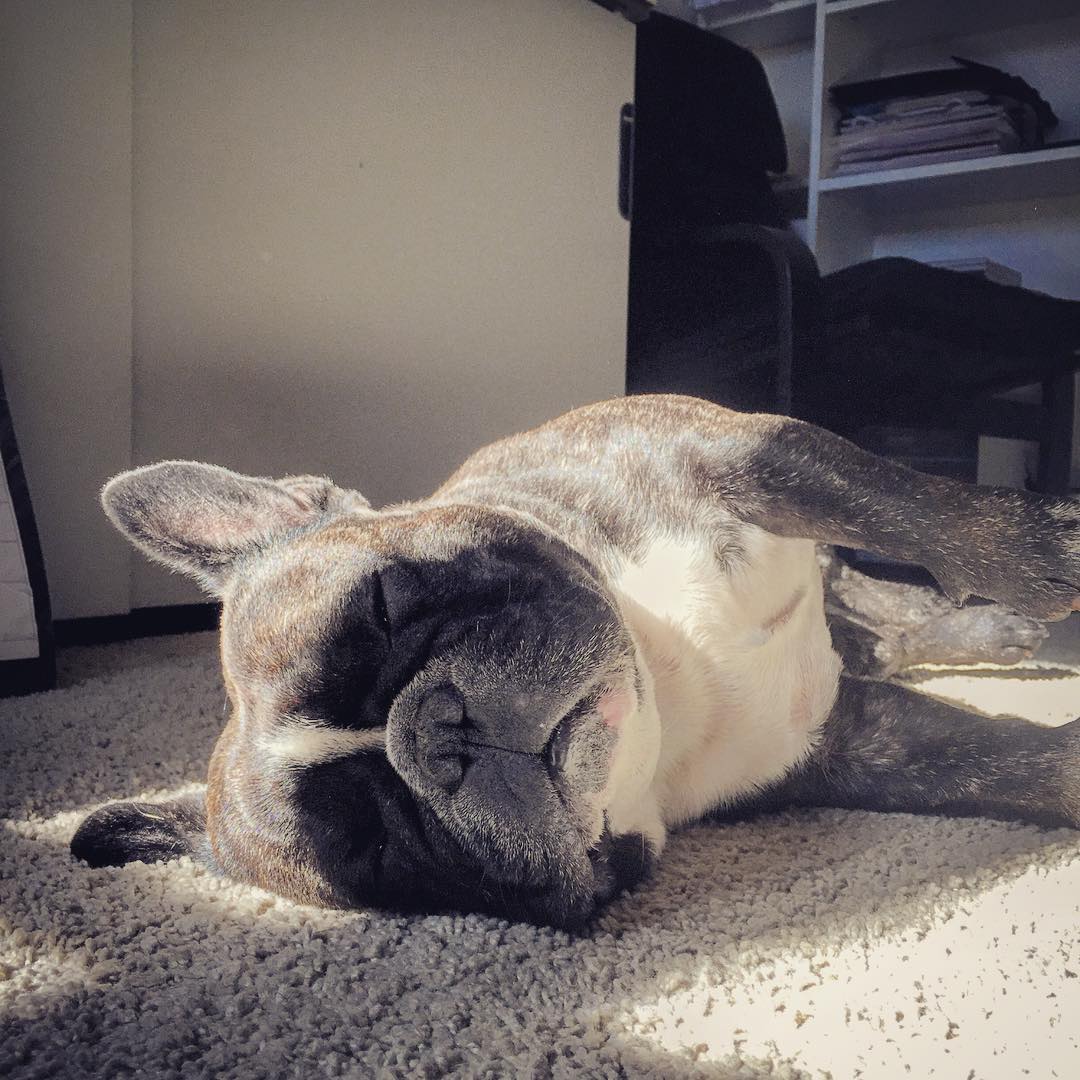 The birthday boy. Five years today.