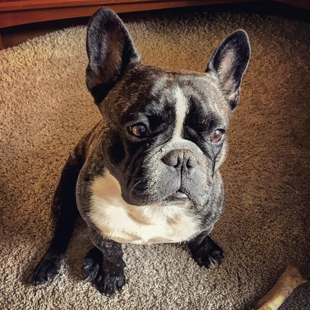 Time to go for a walk.